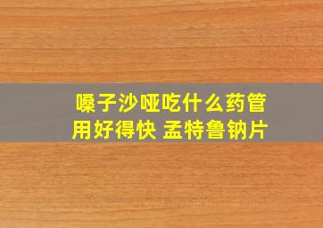 嗓子沙哑吃什么药管用好得快 孟特鲁钠片